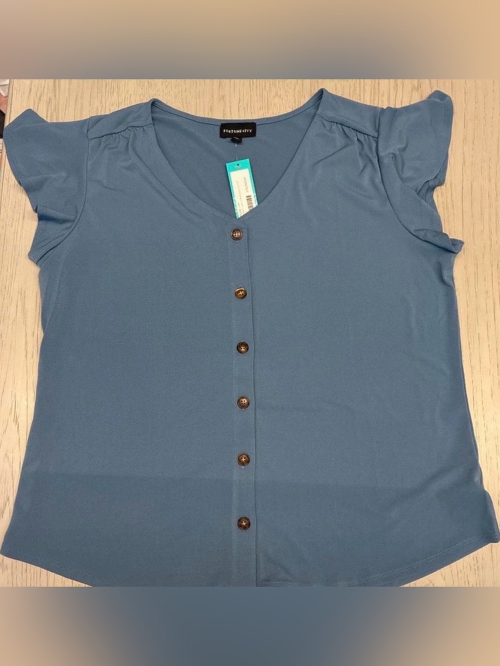 Blue Short Sleeve V-Neck Top